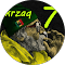 krzaq7 „krzaq7” krzaq7
